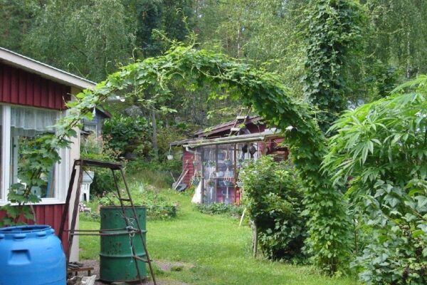 Sirkka Turkin taidepuisto © Porvoo Tours