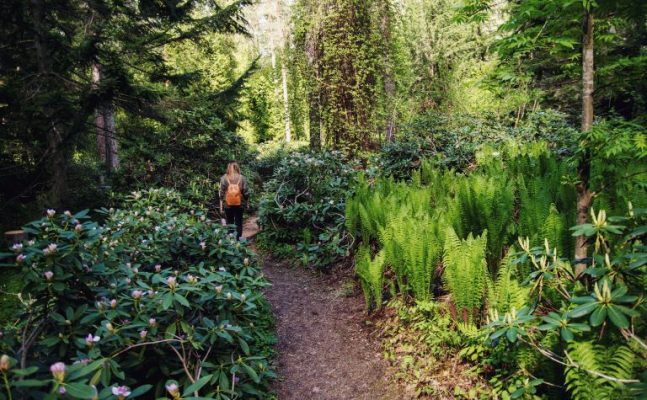 Image :Aboretum/ visit Kouvola